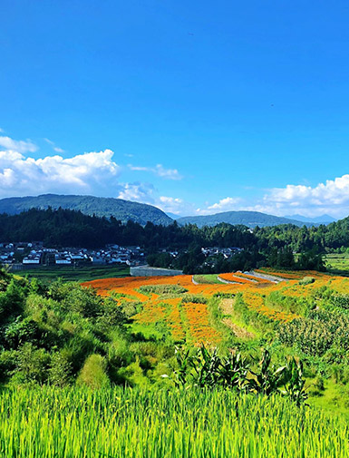 生態(tài)產(chǎn)區(qū) 生態(tài)產(chǎn)區(qū)